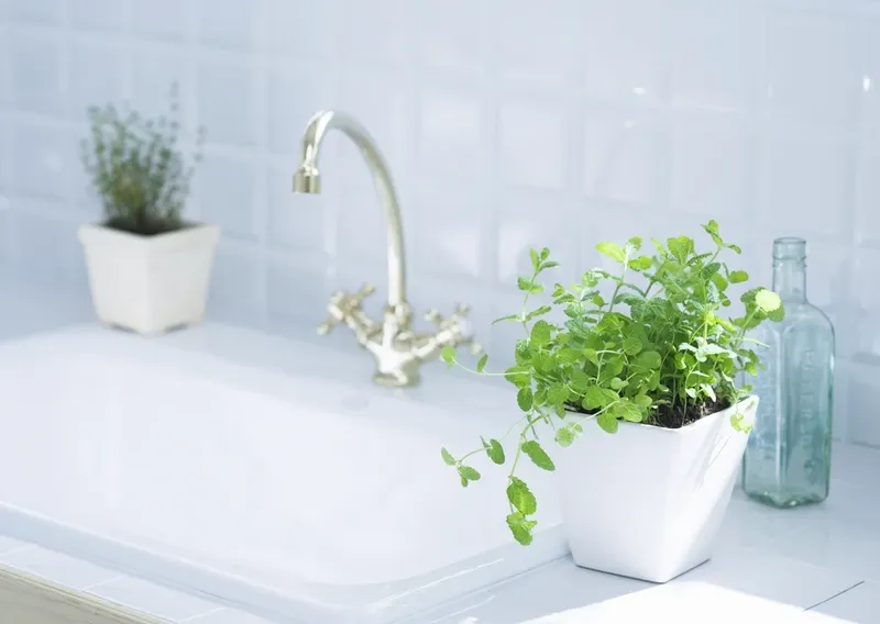 A chrome kitchen tap over a white sink